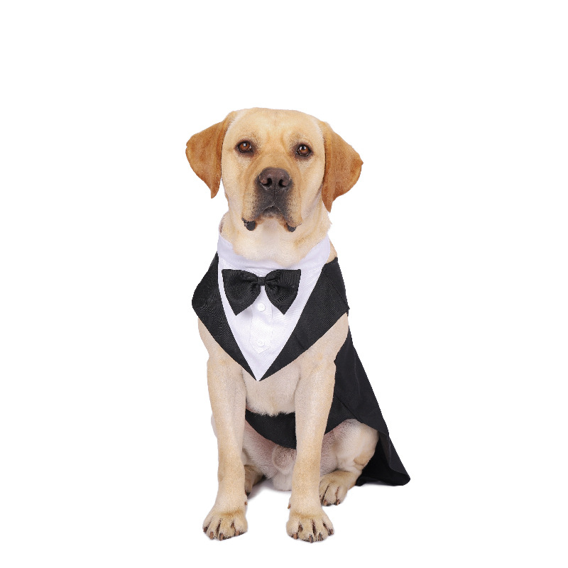 Vêtements pour chiens de compa - Suitsupply Wedding Tuxedo avis et prix