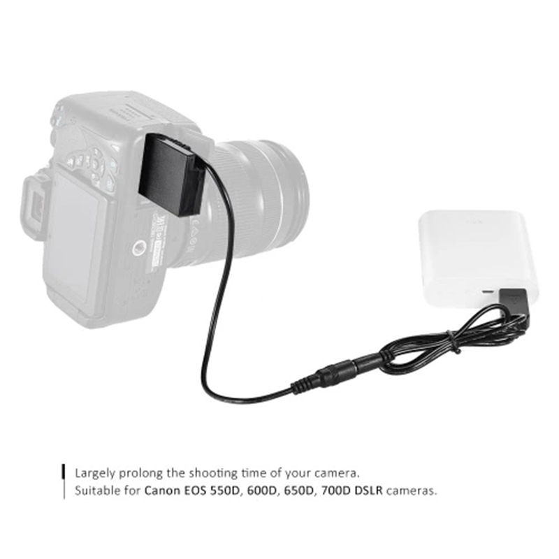 Batterie factice avec chargeur - Wedding Power Supply avis et prix