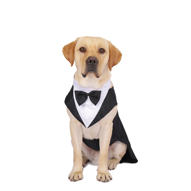 Vêtements pour chiens de compa - Suitsupply Wedding Tuxedo avis et prix
