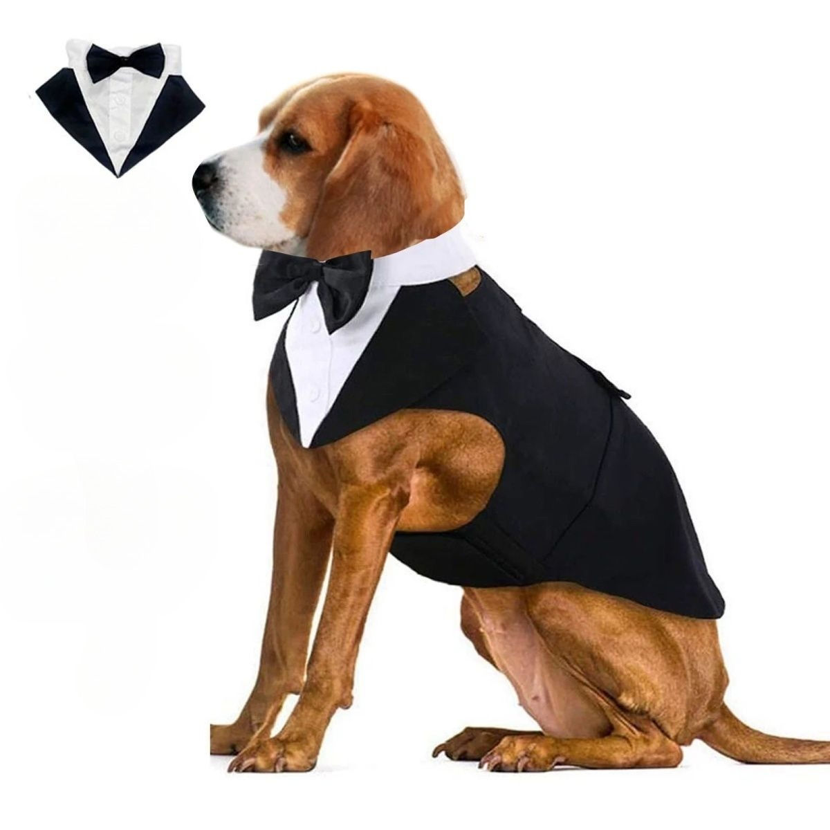 Vêtements pour chiens : Costum - Suitsupply Wedding Tuxedo avis et prix